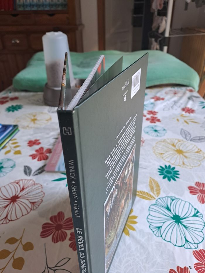 Le réveil du dragon, tome 2, apocalypse - photo numéro 5