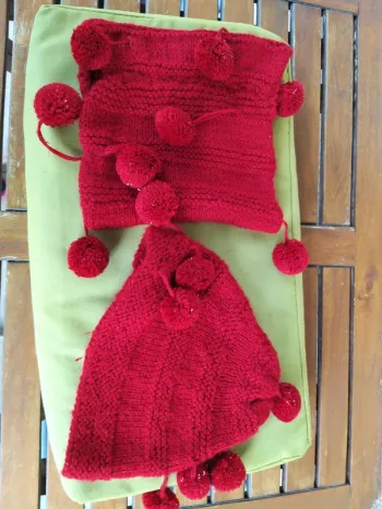 Ensemble bonnet et snood