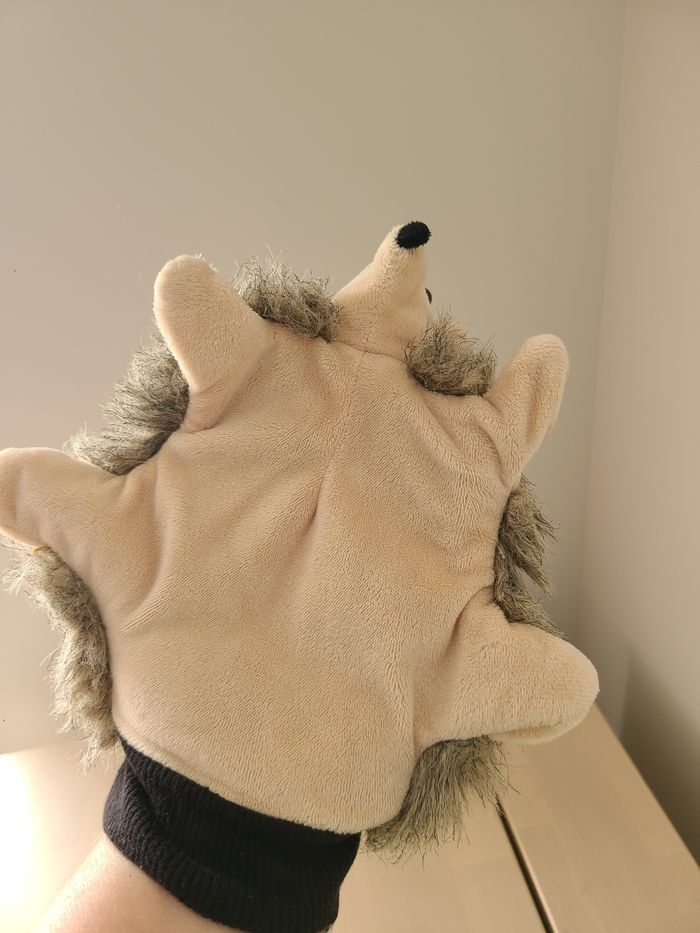 Hérisson - photo numéro 5