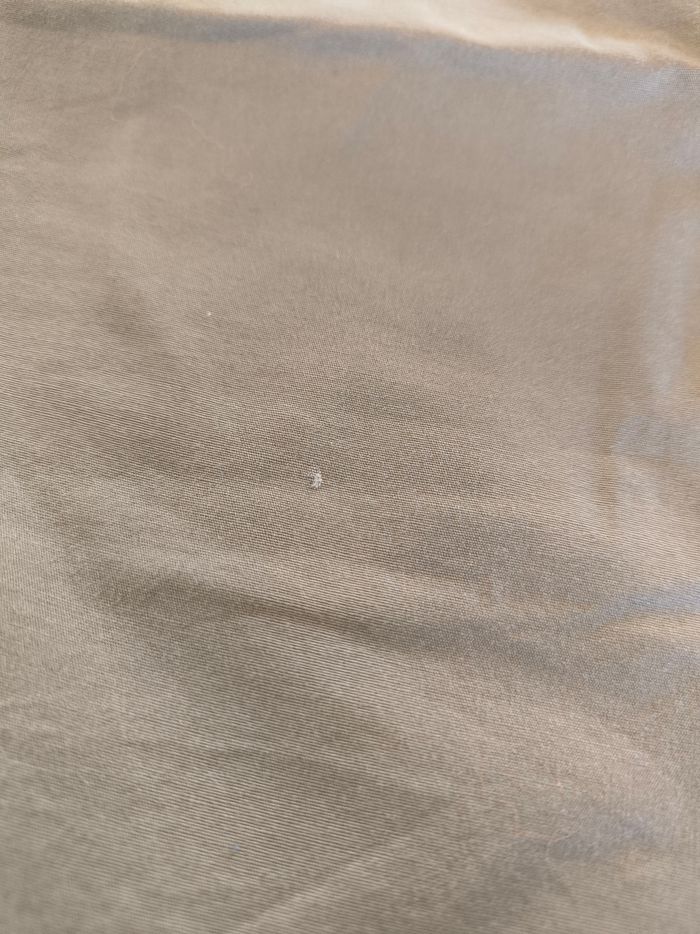 Short Quechua 46 - photo numéro 6