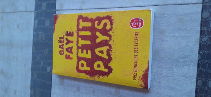 Petit pays de Gaël Faye