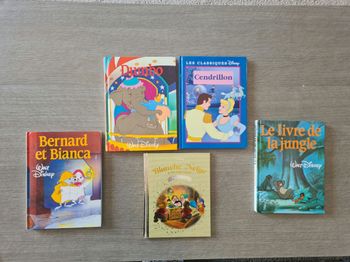 Livre disney 
