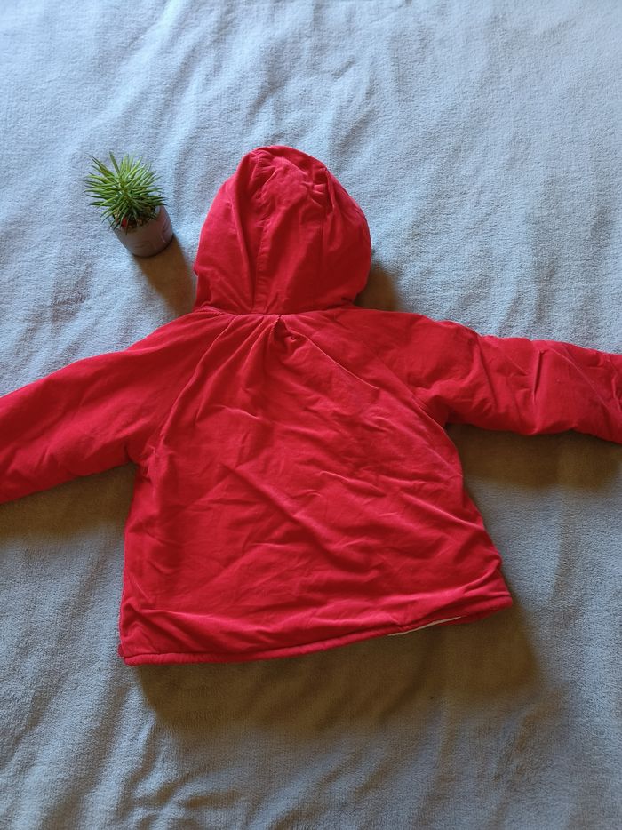 Manteau - photo numéro 2