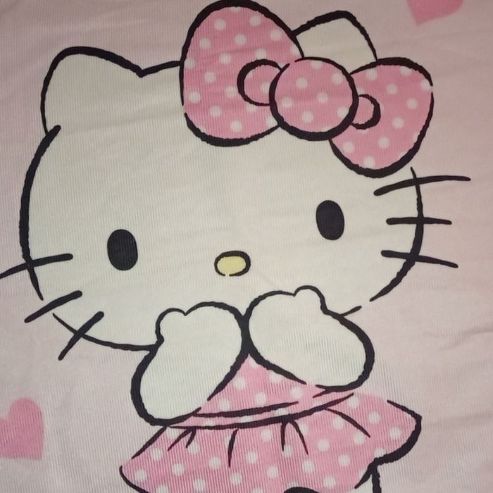 Housse de coussin hello Kitty - photo numéro 2
