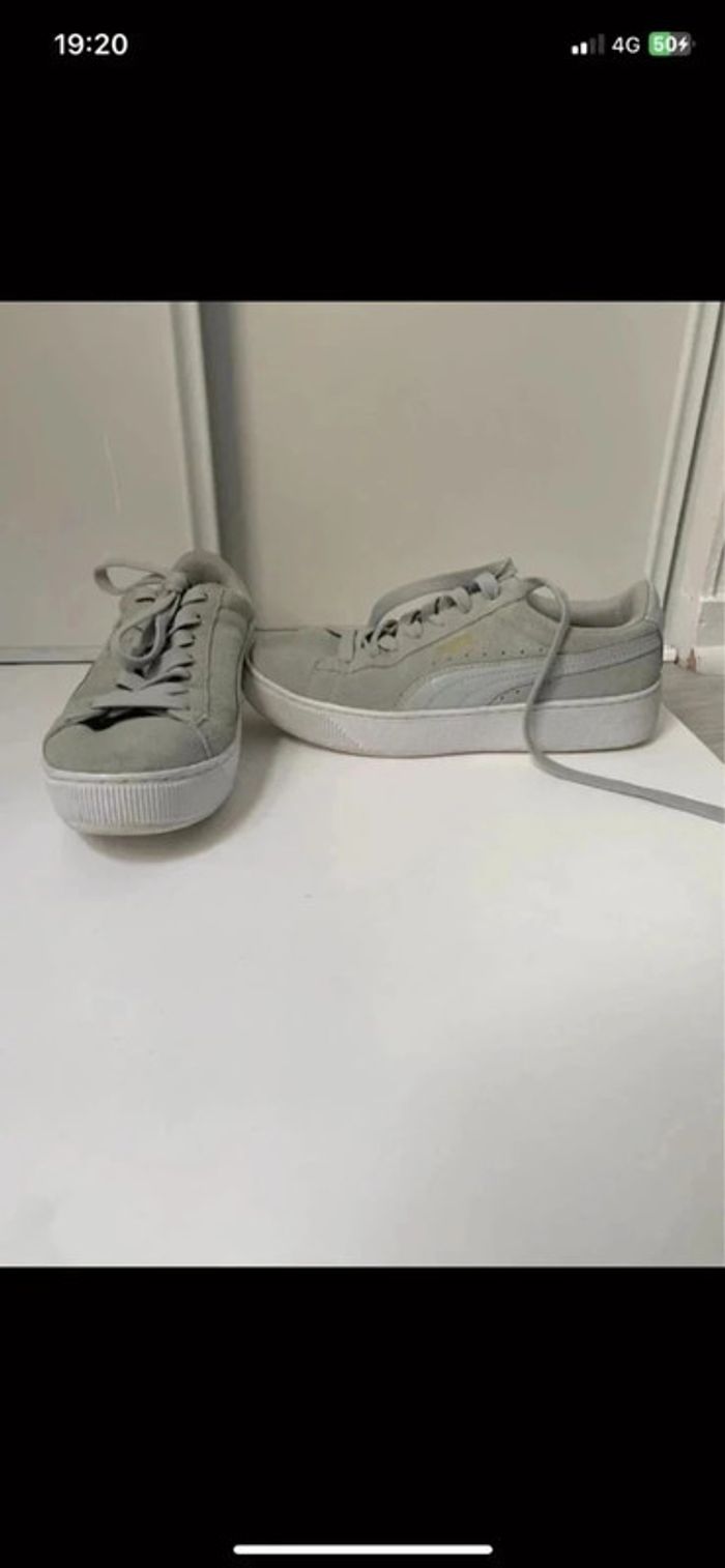 Puma kaki clair - photo numéro 4