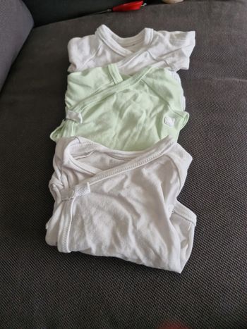 Lot 3 bodies