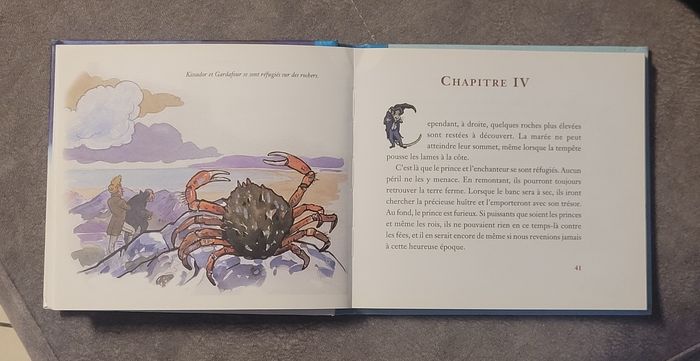 Aventures de la famille Raton Jules Verne, Dom (Illustrations) - photo numéro 3