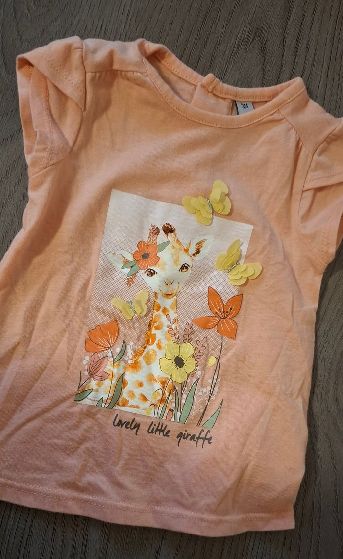 T-shirt 3 mois - photo numéro 3