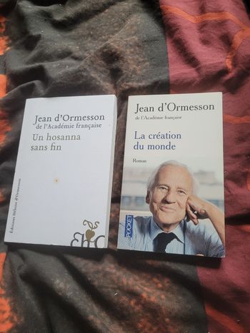 Livres de piche Jean D ormesson