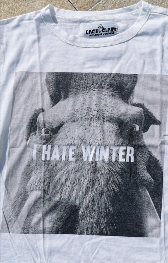 Tee-shirt l'âge de glace undiz taille S - photo numéro 2