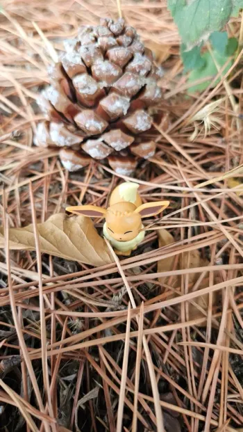 Super figurine Pokemon Nintendo Évoli