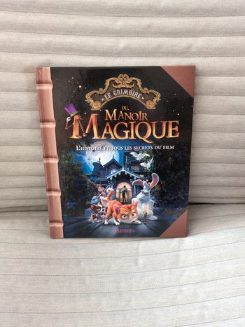 Livre enfant Le grimoire du manoir magique