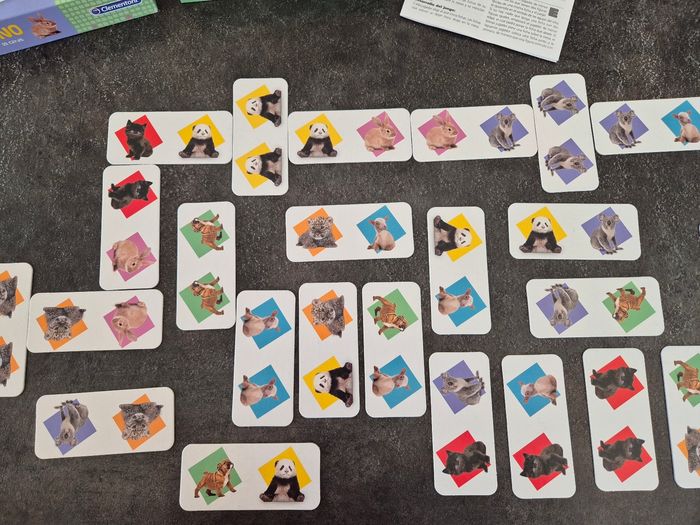 Dominos puppies - photo numéro 3
