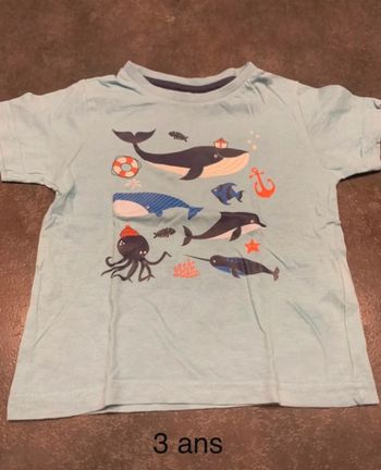 Tee-shirts poisson 3 ans