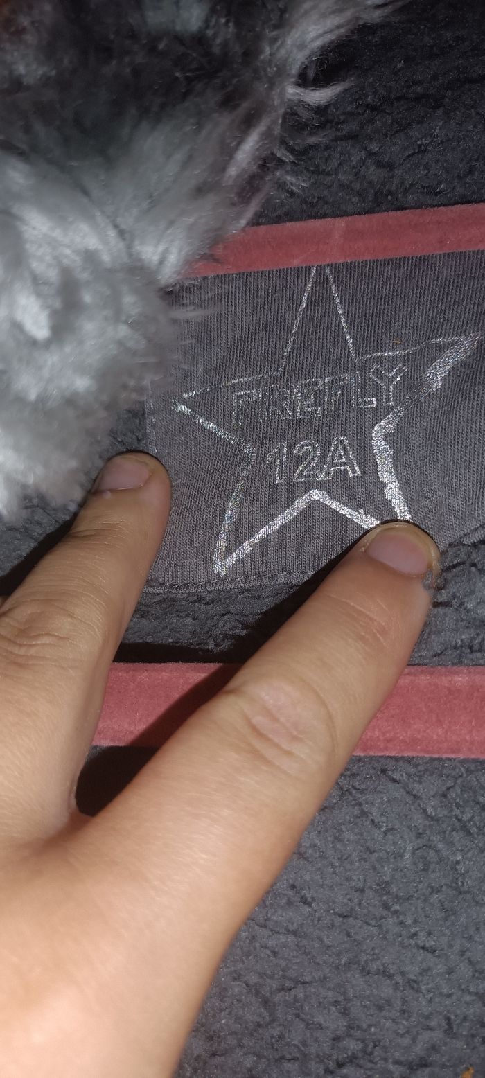 Manteau - photo numéro 2