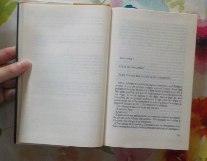 Le Jaguar de Paul Durand Ed. France Loisirs - photo numéro 5