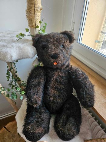 Très beau vieil ours en peluche articulé de collection 🐻