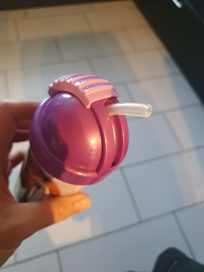 Gourde la reine des neiges - photo numéro 3