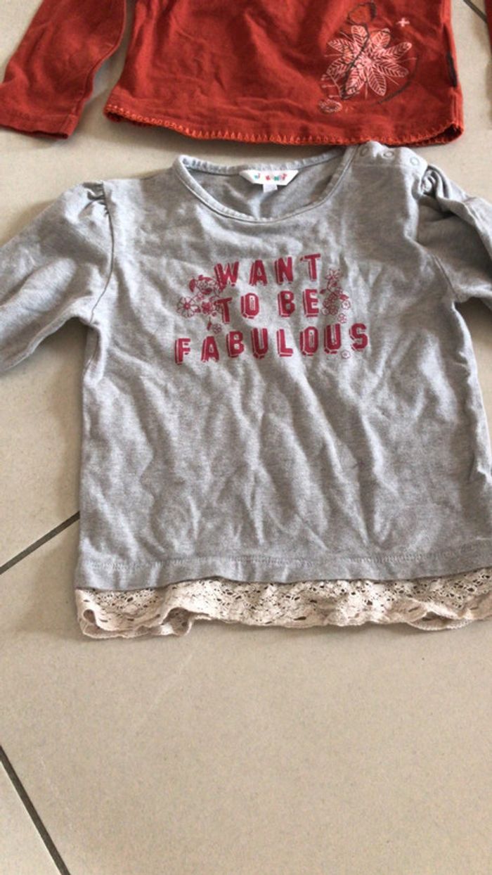 Lot 2 t-shirt manches longues 4 ans - photo numéro 2