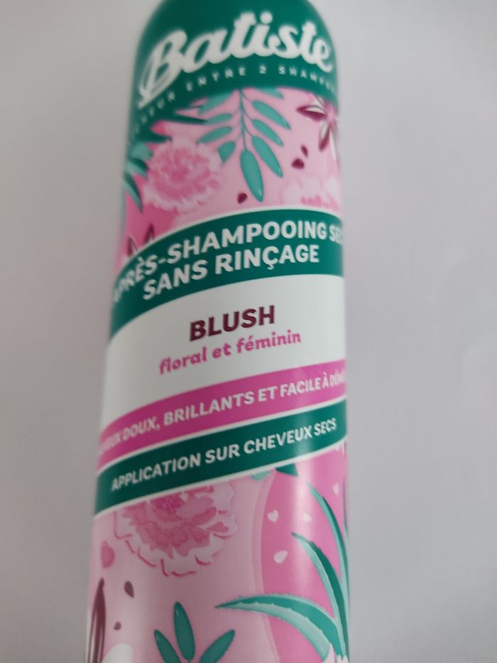 Après shampooing sans rinçage - photo numéro 2
