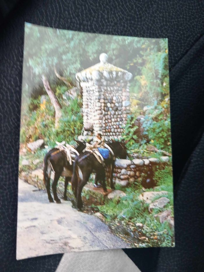 Carte postale d'une fontaine en Corse - photo numéro 1