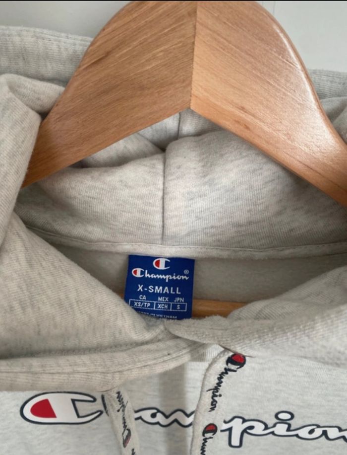 Sweat à capuche Champion - photo numéro 2