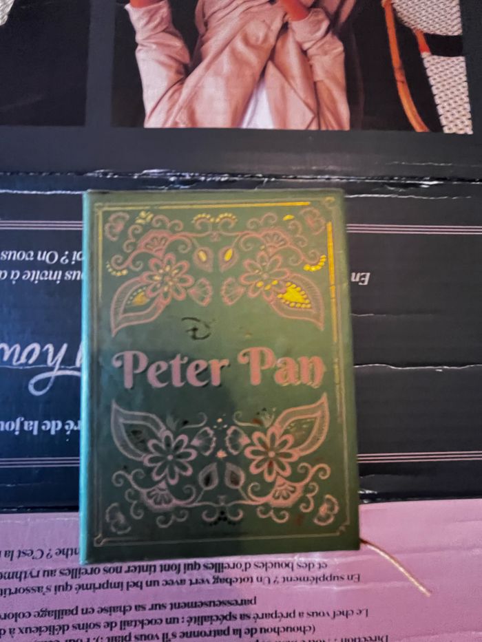 Livre Disney petit format : Peter pan - photo numéro 2
