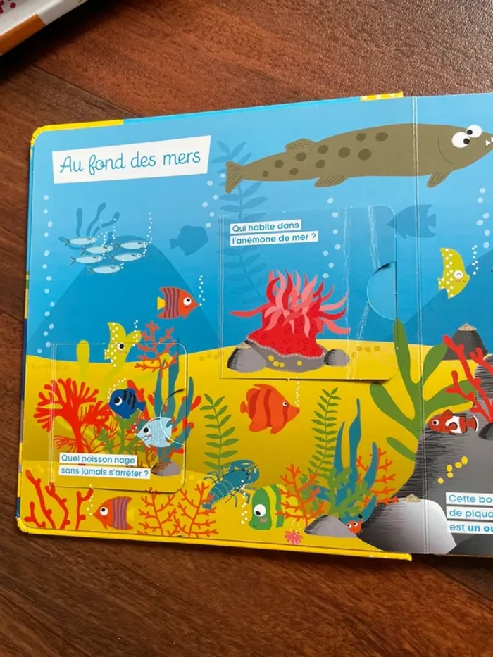 Mon premier dit pourquoi la mer - photo numéro 2