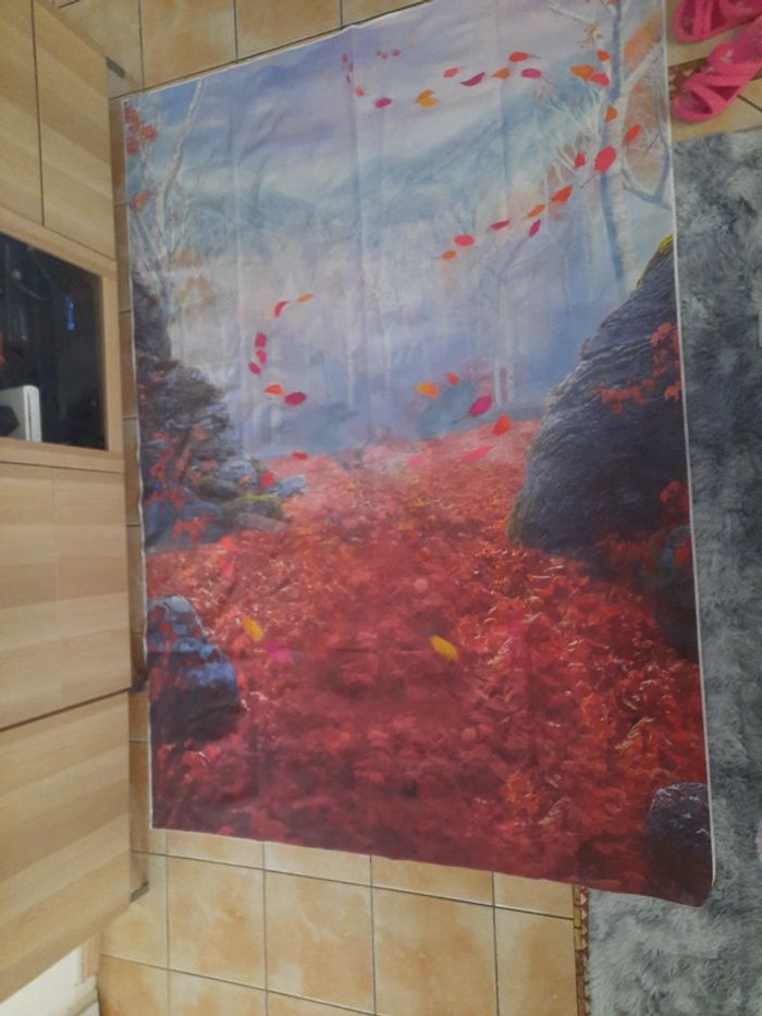 Toile de fond Reine des Neiges 2m50 × 1m50 environ - photo numéro 3