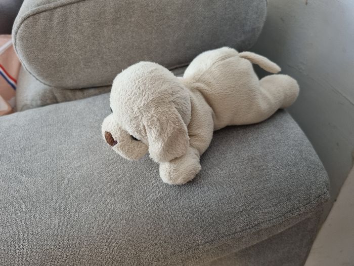 Peluche chien - photo numéro 3