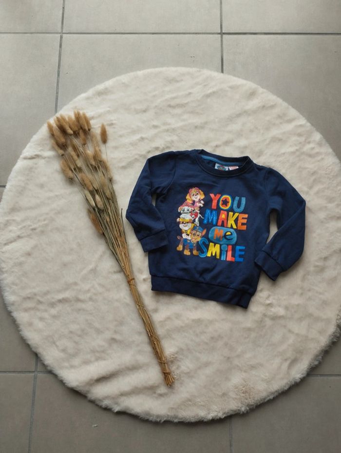 Sweat paw patrol
