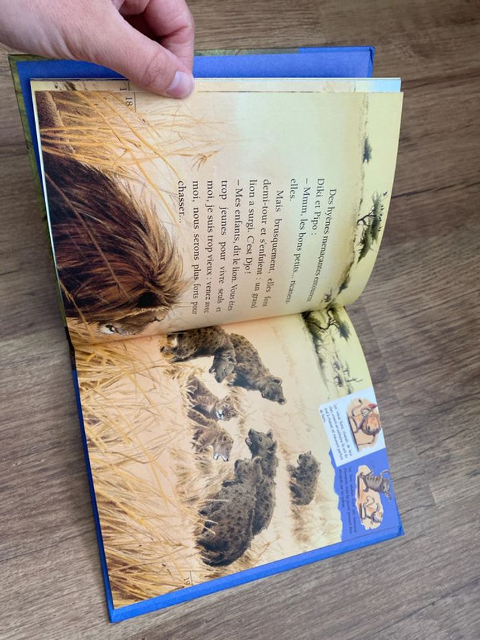 Animalou le lion - photo numéro 2