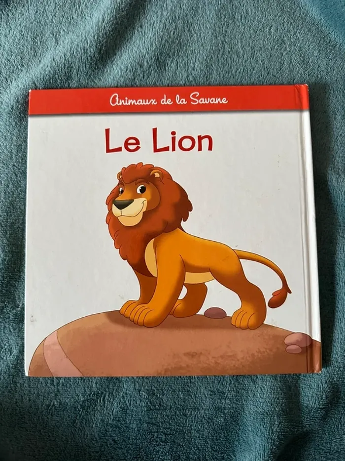 2 livres enfant - photo numéro 5