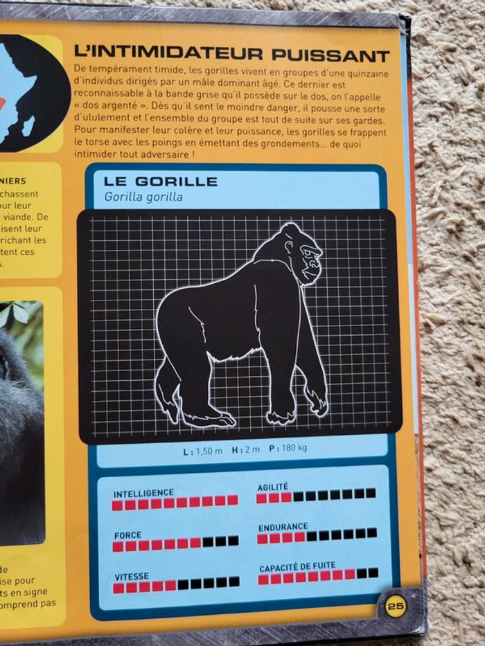 Livre documentaire enfants Zoom sur les animaux d'Afrique - photo numéro 12