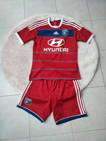 Ensemble olympique lyonnais 2013-2014