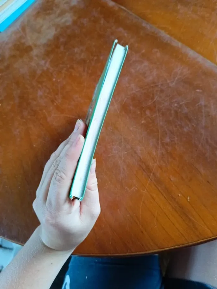 Livre : Alice et le cheval volé - photo numéro 2