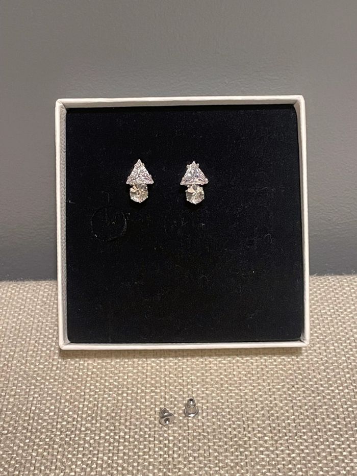 Puces d'oreille