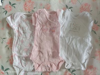 Lot 3 body manches courtes