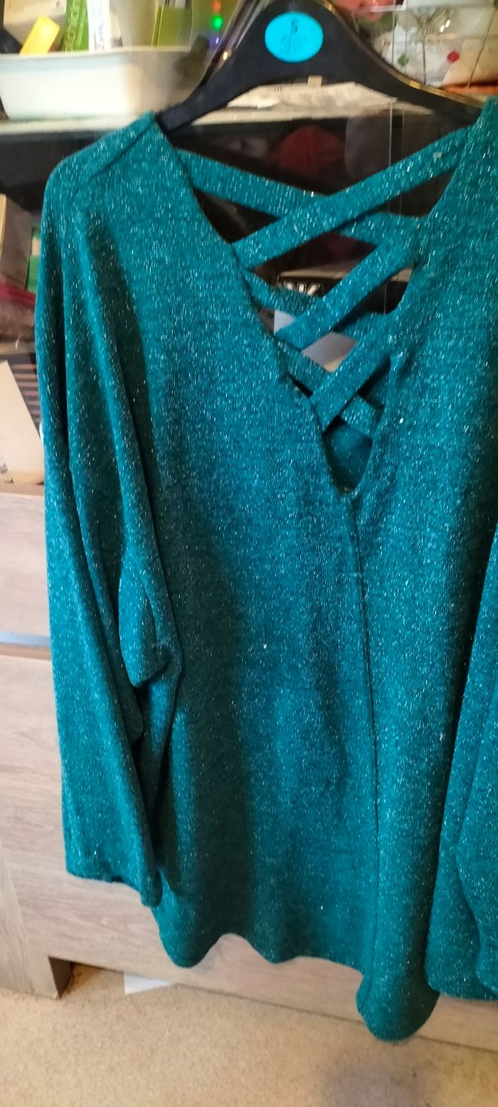 Pull grande taille - photo numéro 5