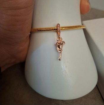 Charm rose type éternelle 