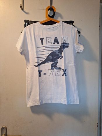 Tee-shirt 10 ans dinosaure