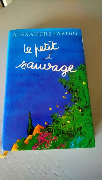 Le petit sauvage