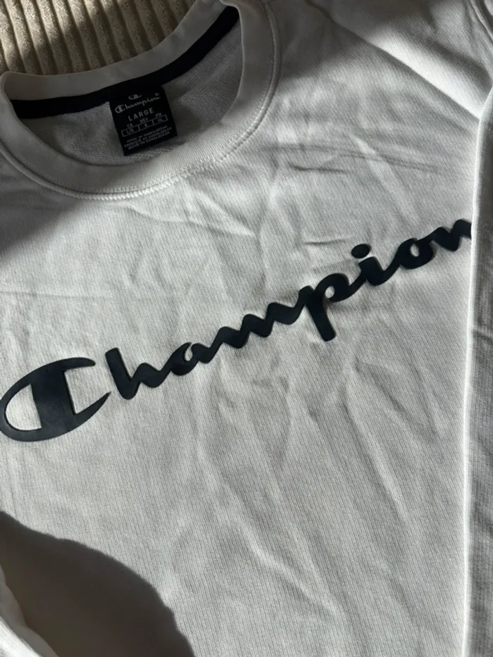 Pull taille L - photo numéro 4