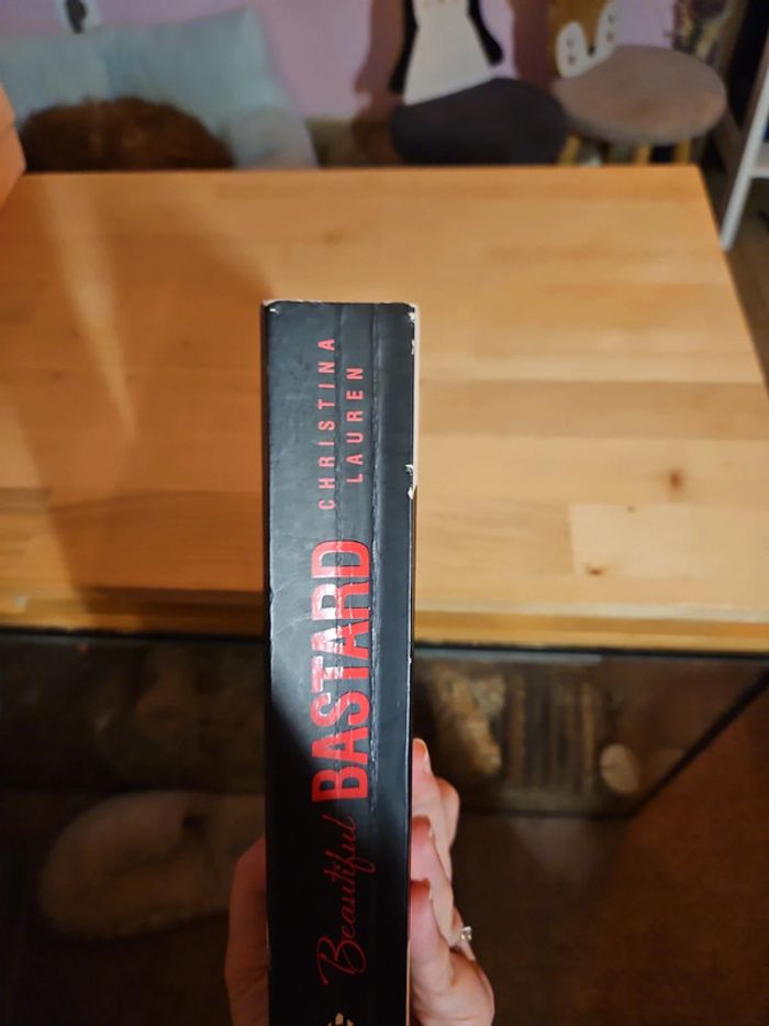 Beautiful bastard - photo numéro 6