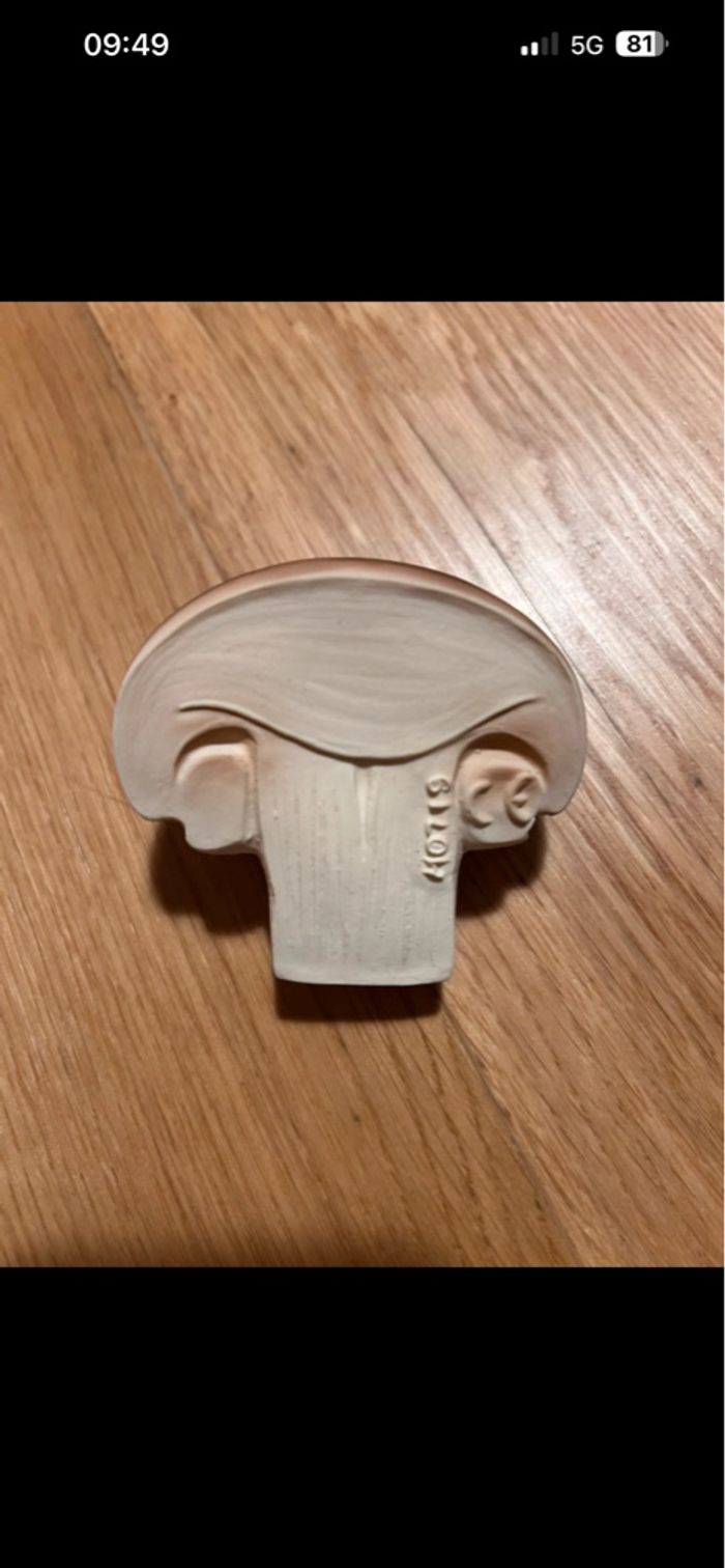 Champignon de dentition - photo numéro 2