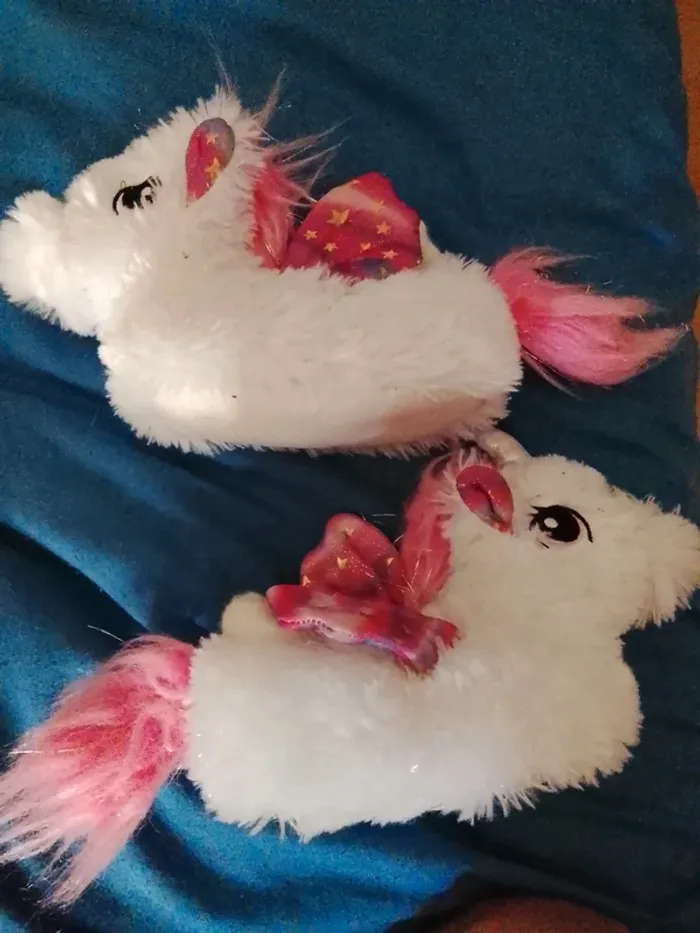 Chaussons 22/23