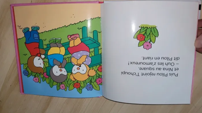 Livre t'choupi - photo numéro 3