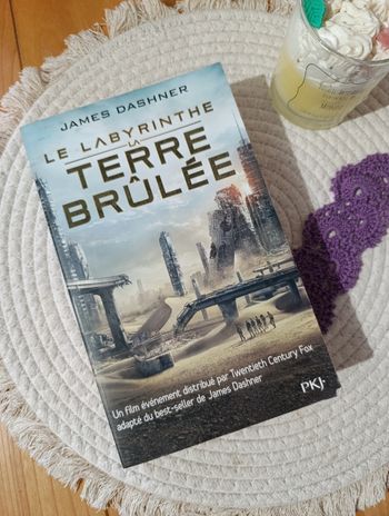 Le labyrinthe la terre brûlée de James Dashner