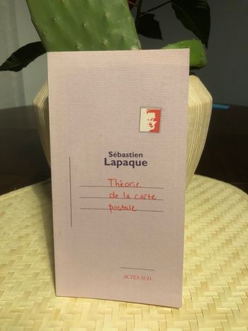 Théorie de la carte postale - Sébastien Lapaque 