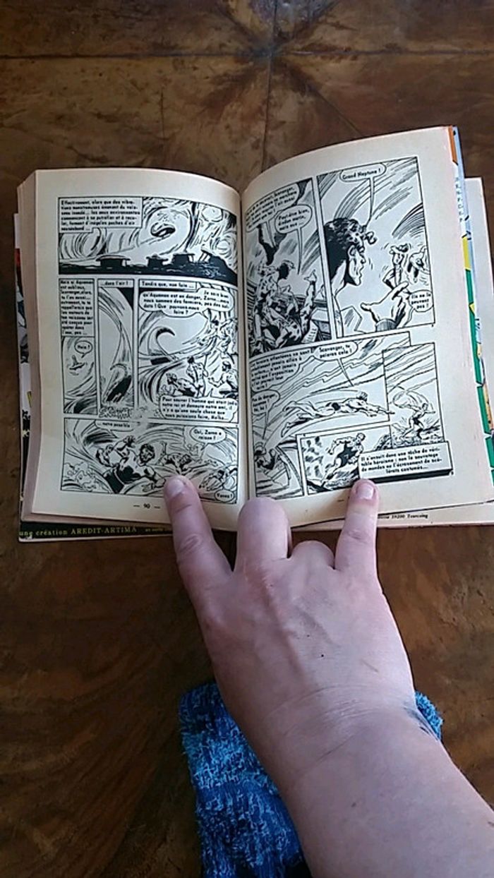 Bd enfant faucon noir - photo numéro 4